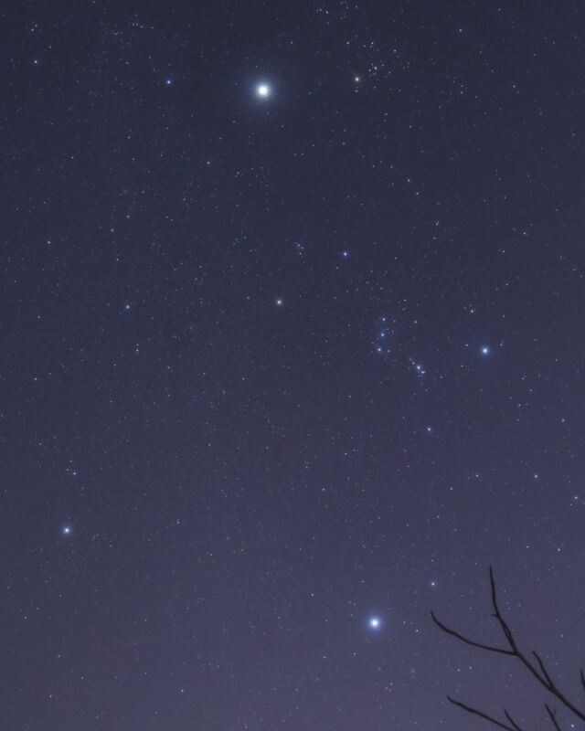 ⏪星の専門店星あそびです🧑🏻‍🚀⁡12月も星あそび貸切ツアーが各旅行会社様より発売中です✈️🌺⁡日本全国から沖縄の星空へめんそーれ、でございます！⁡沖縄の夜を空まであそび尽くしましょう🔭⁡🌟12月14日　羽田発✈ クラブツーリズム≪女性限定 ひとりの贅沢≫沖縄で流星群に願いを込める🌠⁡毎年恒例！ふたご座流星群💫三線の生演奏を聴きながら、今年も流れ星に出会えますように。✩࿐⋆*🌟12月21日　複数空港発✈ 読売旅行≪星旅≫ よみうり大琉球まつりと『人気ガイド まーしー＆ななえ』と鑑賞！勝連城の星空 ３日間⁡翌日は 国立劇場おきなわで「よみうり大琉球まつり」🌺⁡関東以外にも関西、九州、四国などなど様々なエリアからのツアーで参加しやすい🫶🏻✩࿐⋆*⁡2025年の終わりは、沖縄旅行で星にまみれてくださいませ💫まっちょんどー🙋🏻‍♂️🙋🏻‍♀️✨𓂃𓂃𓂃𓂃𓂃𓂃𓂃𓂃𓂃𓂃🔭星の専門店 星あそび 沖縄本島で星のイベント開催中▸▸▸ @hoshi_asobi ◂◂◂𓂃𓂃𓂃𓂃𓂃𓂃𓂃𓂃𓂃𓂃𓂃