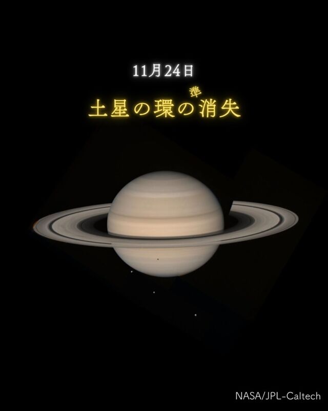 ⏪星の専門店星あそびです🧑🏻‍🚀⁡はじめて土星を見たのが2013年。（記憶にある中で）⁡環がはっきり見えて感動したのを今でも覚えています☺️毎年見え方が変わっていく様子がとっても楽しくて美しくて神秘的で。⁡ずっとずっと、環が消えるときが待ち遠しかったんです。⁡もしかすると今は土星に興味がないかもしれません。でも2年後3年後に興味がでてきても次は2038年･･･！でーじとおい🥹⁡流星群は年に何回かあるし月食も数年ごとにあります🌛⁡が、約15年周期の土星の環の消失現象は今回がラストチャンス！💫どうぞお見逃しなく🔭𓂃𓂃𓂃𓂃𓂃𓂃𓂃𓂃𓂃𓂃🔭星の専門店 星あそび 沖縄本島で星のイベント開催中▸▸▸ @hoshi_asobi ◂◂◂𓂃𓂃𓂃𓂃𓂃𓂃𓂃𓂃𓂃𓂃𓂃