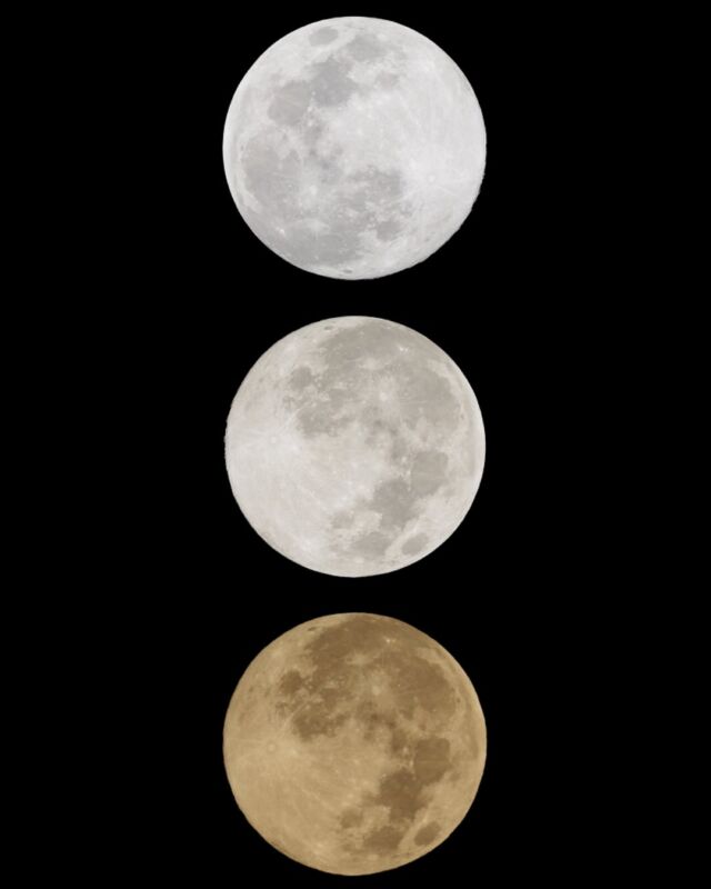 ⏪星の専門店星あそびです🧑🏻‍🚀⁡今年最後の満月🌕沖縄は晴れて美しい月が輝いていました💫みなさまは見られましたか？⁡｢寒い夜に月を見ながら飲みたい物｣は、ダントツでココアが一位🫶🏻いろんな意見があって楽しかったです☺️⁡個人的な優勝は、シーサイドのスープです🤭💛⁡満月が過ぎると少しずつ月の出が遅くなっていくので赤い月を見るにはチャンス！晴れたら狙ってみてくださいね😉⁡月の色や模様についてはいつか投稿できたらなーと思ってます🌝𓂃𓂃𓂃𓂃𓂃𓂃𓂃𓂃𓂃𓂃𓂃𓂃🔭星の専門店 星あそび 沖縄本島で星のイベント開催中！▸▸▸ @hoshi_asobi ◂◂◂イベントの詳細はHPより𓂃𓂃𓂃𓂃𓂃𓂃𓂃𓂃𓂃𓂃𓂃𓂃