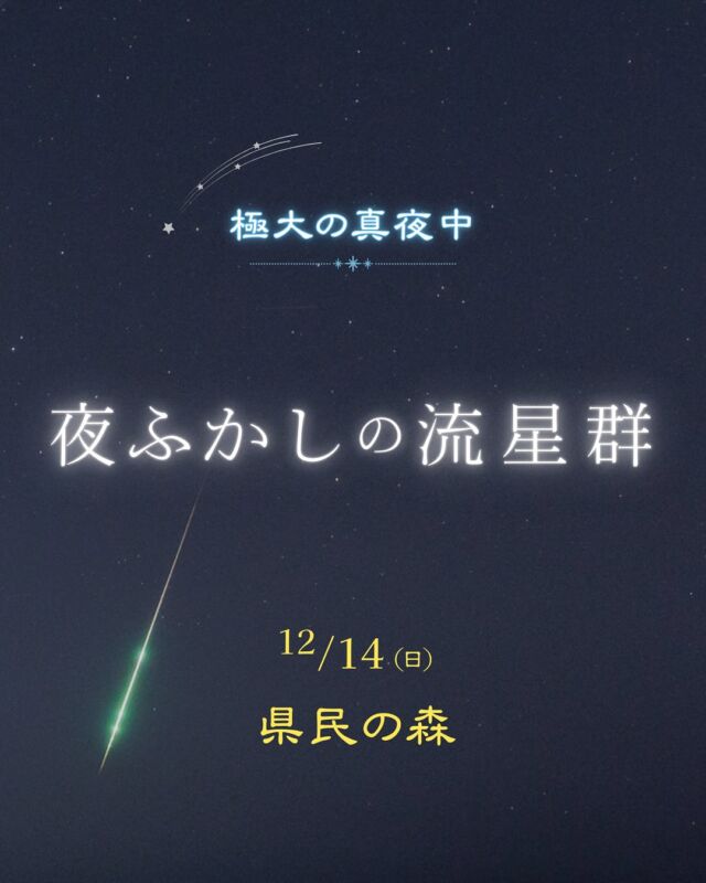 ⏪星の専門店星あそびです🧑🏻‍🚀𖤐 ⎯⎯⎯⎯⎯⎯⎯⎯⎯2025年12月14日(日)✵꙳⋆ 県民の森 23時start ⋆꙳✵ ⎯⎯⎯⎯⎯⎯⎯⎯⎯ 𖤐やっぱり流星群の極大の夜中は、県民の森で💫✨⁡夏のペルセウス座流星群にも開催した夜ふかしの流星群。もちろん！ふたご座流星群もやります🎉⁡流れ星に出会うには運だけではなく、確率を少しでもあげること🙋🏻‍♀️⁡放射点が高い時間に 空が暗い県民の森でがちで狙いに行きませんか😎💙⁡@theforestokinawa 🌿 県民の森𓂃𓂃𓂃𓂃𓂃𓂃𓂃𓂃𓂃𓂃𓂃𓂃🔭星の専門店 星あそび 沖縄本島で星のイベント開催中！▸▸▸ @hoshi_asobi ◂◂◂イベントの詳細はHPより𓂃𓂃𓂃𓂃𓂃𓂃𓂃𓂃𓂃𓂃𓂃𓂃