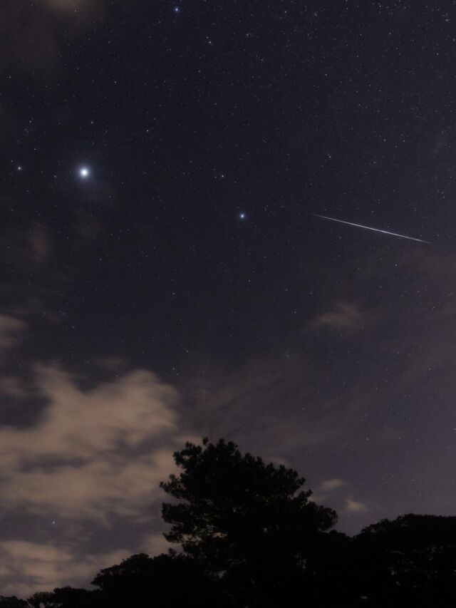 ⏪星の専門店星あそびです🧑🏻‍🚀⁡二人の女の子からかわいい贈り物を貰いました🎁大感激😭💛名前入りも嬉しいし、こいぬ座とうさぎ座可愛くないですか?!😍⁡大人のみなさまも差し入れをありがとうございます！お菓子もいただきましたが、嬉しすぎてすぐ食べて写真を忘れました...ただのがちまやーです🤤⁡ストーリーズをあげすぎてスターリンク衛星みたいになっちゃってるので通常投稿にて御礼をさせていただきます。-------------------- 🛰🛰🛰⁡(マニアックすぎる例え😂)⁡⁡⁡12/13 平和創造の森公園12/14 県民の森皆さま本当に本当にお越しいただきありがとうございました。絶賛写真を編集中なので、イベントのことはまた後日...💫𓂃𓂃𓂃𓂃𓂃𓂃𓂃𓂃𓂃𓂃𓂃𓂃🔭星の専門店 星あそび 沖縄本島で星のイベント開催中！▸▸▸ @hoshi_asobi ◂◂◂イベントの詳細はHPより𓂃𓂃𓂃𓂃𓂃𓂃𓂃𓂃𓂃𓂃𓂃𓂃