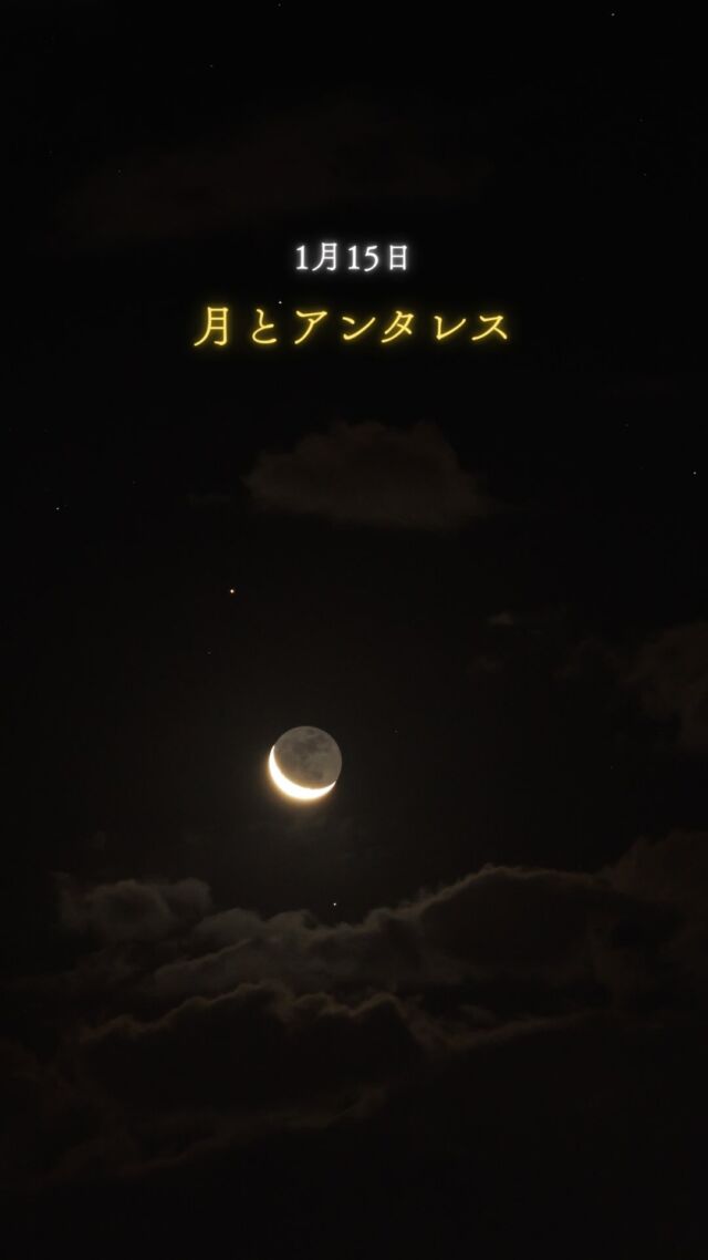 1月15日 朝5時⁡新月前の細い月がさそり座の一等星アンタレスと一緒に上がってきました。月のすぐ左上で輝いているのがアンタレス。⁡早ければ2月6日、半世紀ぶりに人類は月に向かいます🚀今年も月から目が離せません☺️⁡⁡今月の月を狙えそうなイベントは...🔭1月28日 新都心公園𓂃𓂃𓂃𓂃𓂃𓂃𓂃𓂃𓂃𓂃🔭星の専門店 星あそび 沖縄本島で星のイベント開催中▸▸▸ @hoshi_asobi ◂◂◂𓂃𓂃𓂃𓂃𓂃𓂃𓂃𓂃𓂃𓂃𓂃