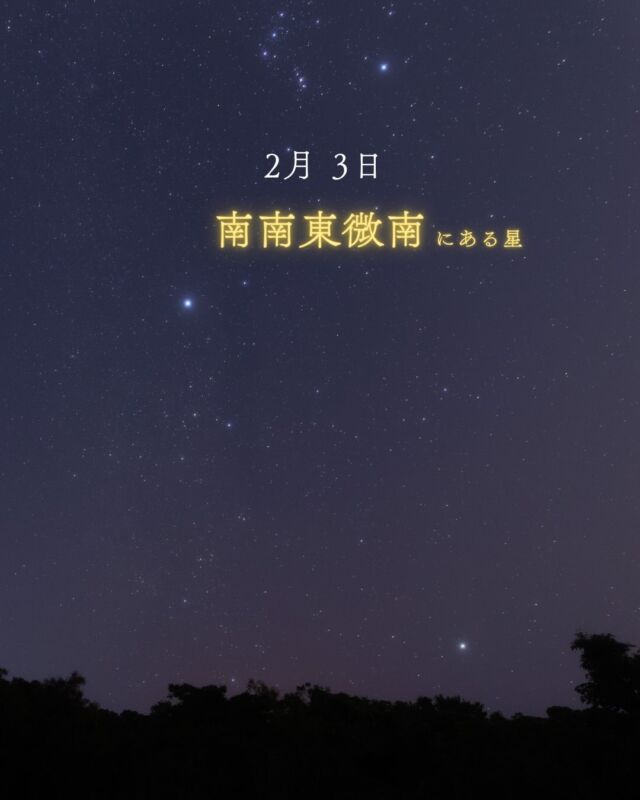 2月3日 節分👹⁡今年の恵方は南南東微南(やや南)だそうです。⁡20時頃のその方角には沖縄ならではの星が輝いています꙳⋆⭐︎˗ˏˋ りゅうこつ座のカノープスˎˊ˗⁡中国では｢南極老人星｣と呼ばれています。南極老人は 七福神の｢福禄寿｣のモデルになったと言われる神様。⁡恵方巻きの具材が7種類なのは七福神にちなんでいるから🍙✨こんなところにも星が繫がっているなんて、びっくりですよね☺️⁡カノープスを見ながら恵方巻きを食べるともっと縁起がよくなるかも？？？(私は食べたことがないので カノープスに健康と幸福を祈願します🥺🤲🏻)𓂃𓂃𓂃𓂃𓂃𓂃𓂃𓂃𓂃𓂃𓂃𓂃🔭星の専門店 星あそび 沖縄本島で星のイベント開催中！▸▸▸ @hoshi_asobi ◂◂◂イベントの詳細はHPより𓂃𓂃𓂃𓂃𓂃𓂃𓂃𓂃𓂃𓂃𓂃𓂃