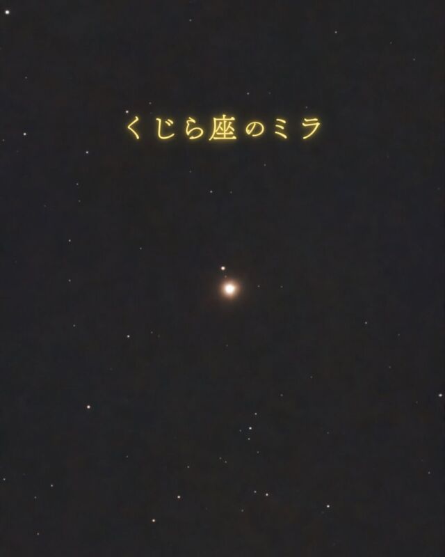 写真も内容も派手ではなく、地味。だけど個人的に好きな星なので思い切って投稿します🤲🏻⁡そんな星あるんだ！と”驚いた”方はいいねください🥺🐳笑⁡見つけやすい星ではないので見つけ方などの説明は省きますが...近日中に星空の下でお会いする方はわたくしめに聞いてください🥺⁡なぜ明るさが変わるのか？気になった方は調べてみてね🔍⁡⁡ホエールウォッチング🐳二回乗船して、二回とも何度も吐いたけどまた撮影に行きたい😂𓂃𓂃𓂃𓂃𓂃𓂃𓂃𓂃𓂃𓂃𓂃𓂃🔭星の専門店 星あそび 沖縄本島で星のイベント開催中！▸▸▸ @hoshi_asobi ◂◂◂イベントの詳細はHPより𓂃𓂃𓂃𓂃𓂃𓂃𓂃𓂃𓂃𓂃𓂃𓂃
