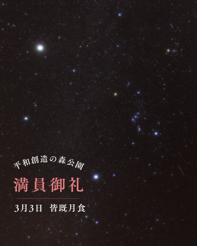 ⏪星の専門店星あそびです🧑🏻‍🚀⁡3月3日🎎皆既月食平和創造の森公園 @peaceparkokinawa 満員につき受付終了しています🪐⁡平日の早い時間にもかかわらず多くの方に糸満までお越しいただけることがとっても嬉しいです。(お仕事の調整ありがとうございます！)⁡中北部の方には少し遠いですが...空が暗くて、広い芝生クワディーサー(モモタマナ)🌳正面に見えるアダンと、海。⁡沖縄らしい景色と一緒に皆既月食を楽しんでいただきたいのです☺️⁡｢皆既月食｣は月の現象だけど空に広がる星々や、地上の景色ときおり月を隠すかもしれない雲だって、見えるものすべてが思い出になるはず。⁡当日は楽しみましょうね〜！何かつまみながら眺めよっと🌮🍔🍠黒糖味のサーターアンダギーはちょっと赤銅色っぽいかな？😂皆既月食っぽい沖縄のお菓子を思いついた方は教えてください🥺💛⁡📷:2026年2月の星空𓂃𓂃𓂃𓂃𓂃𓂃𓂃𓂃𓂃𓂃🔭星の専門店 星あそび 沖縄本島で星のイベント開催中▸▸▸ @hoshi_asobi ◂◂◂𓂃𓂃𓂃𓂃𓂃𓂃𓂃𓂃𓂃𓂃𓂃