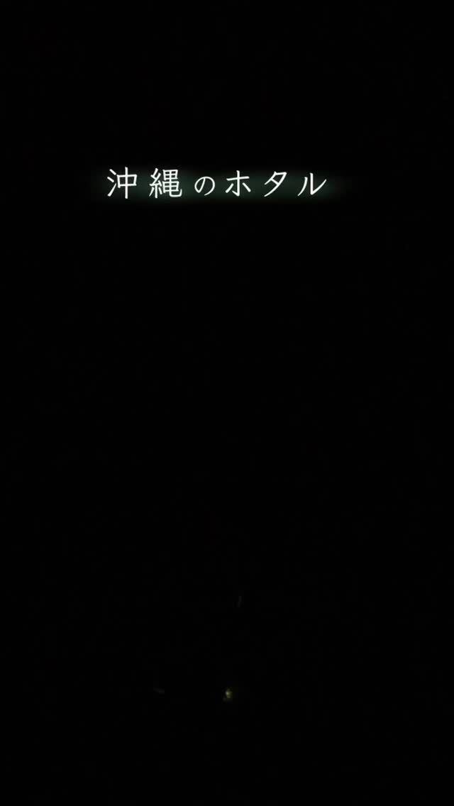 ⏪星の専門店星あそびです🧑🏻‍🚀⁡沖縄のホタルはほとんどが陸生。水辺だけでなく、身近な場所にも生息しています🐝⁡｢小さいころに庭でホタルを見た｣そんな思い出がある方も多いはず😌⁡清流まで出かけなくても深い森の中に入らなくても若夏の夜にホタルと出会えるのは沖縄ならではの魅力かもしれません💫⁡今年も、地上で静かに輝く緑の光とたくさん出会えますように。⁡⋆꙳✴︎動画出演:5月7日のホタルたち✴︎꙳⋆⁡⁡ホタルに出会えるかもなイベントは✳︎ 5/17(日) ビオスの丘🌿𓂃𓂃𓂃𓂃𓂃𓂃𓂃𓂃𓂃𓂃🔭星の専門店 星あそび 沖縄本島で星のイベント開催中▸▸▸ @hoshi_asobi ◂◂◂𓂃𓂃𓂃𓂃𓂃𓂃𓂃𓂃𓂃𓂃𓂃