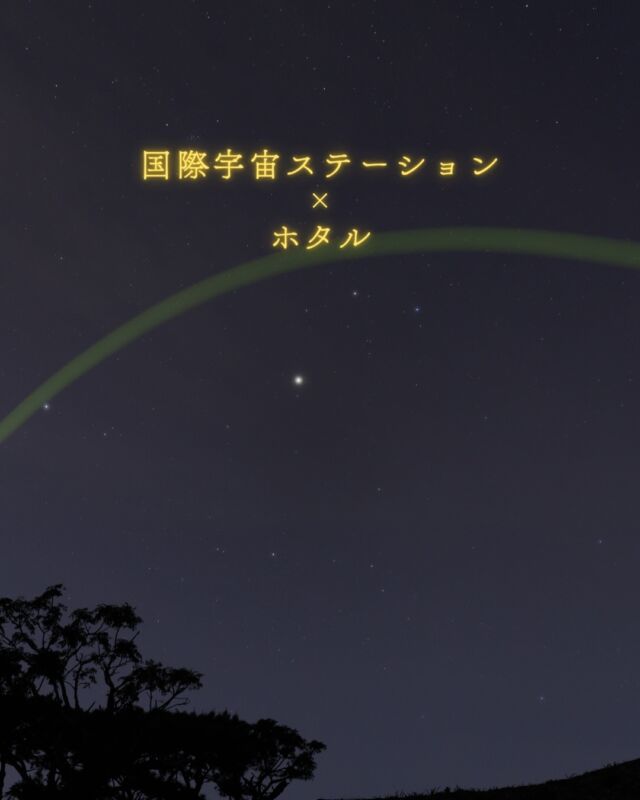 ⏪星の専門店星あそびです🧑🏻‍🚀⁡5月7日🍩粉の日⁡梅雨の晴れ間に国際宇宙ステーションが見られました🛰✨⁡まさかまさかのホタルと一緒に。他のホタルはもうお休みしているのに、この子だけ出てきてくれました☺️⁡オキナワスジボタル✵꙳⋆⁡毎年ホタルを見に出かけるけどやっぱり、星と一緒に見るのがいちばん好きです。⁡⁡ホタルに出会えるかもなイベントは✳︎ 5/17(日) ビオスの丘🌿⁡参加者しか入れないので、夜の公園や森の中はちょっと不安...という方にもおすすめ🫶🏻みんなでゆっくり歩きましょ😉𓂃𓂃𓂃𓂃𓂃𓂃𓂃𓂃𓂃𓂃🔭星の専門店 星あそび 沖縄本島で星のイベント開催中▸▸▸ @hoshi_asobi ◂◂◂𓂃𓂃𓂃𓂃𓂃𓂃𓂃𓂃𓂃𓂃𓂃