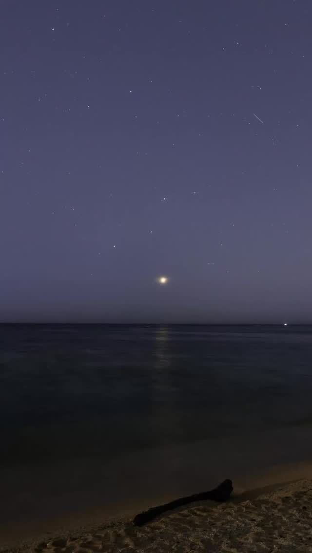 ⏪星の専門店星あそびです🧑🏻‍🚀⁡7月3日 波の日に撮影しました🌊⁡金星の光が海面を照らし、ヴィーナスロードができています✨⁡ムーンロードやヴィーナスロードは波があるからこそ、光が一本の道のようにつながって見えるんです。波の日に嬉しい光景に出会えました☺️⁡金星が少しずつレグルスへ近づいていますね。7月9日の大接近、どうぞお見逃しなく💫⁡7/9(木) はイオンモール沖縄ライカムで🙌🏻𓂃𓂃𓂃𓂃𓂃𓂃𓂃𓂃𓂃𓂃🔭星の専門店 星あそび 沖縄本島で星のイベント開催中▸▸▸ @hoshi_asobi ◂◂◂𓂃𓂃𓂃𓂃𓂃𓂃𓂃𓂃𓂃𓂃𓂃