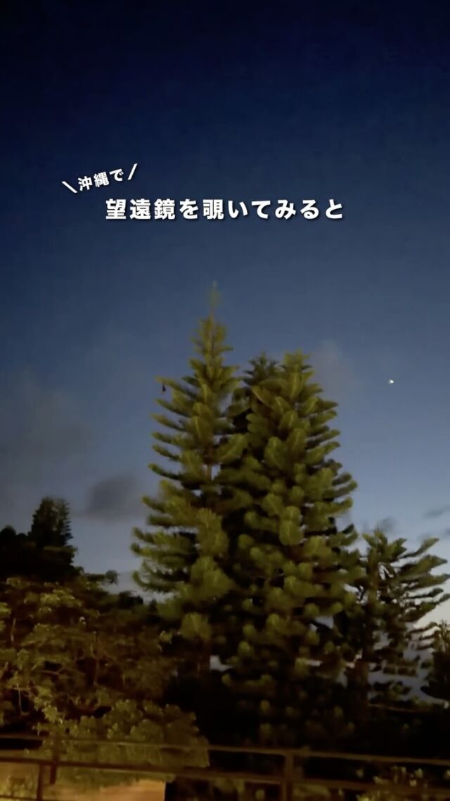 木にぶら下がっていたので望遠鏡を向けてみました😆✨⁡オリイオオコウモリ⁡沖縄本島に暮らす大型のコウモリ🦇木の実が大好きで街路樹などでも見かけます🌰🌴⁡よーく見るとふわふわしてて、つぶらな瞳。可愛いんですよね☺️💛⁡小型のコウモリと違って超音波を使わないんだそう👀.....たぶん、こっち見てたよね🦇😂⁡⁡望遠鏡ではこんな楽しみ方もあるんだよという紹介でした🔭💫⁡𓂃𓂃𓂃𓂃𓂃𓂃𓂃𓂃𓂃𓂃🔭星の専門店 星あそび 沖縄本島で星のイベント開催中▸▸▸ @hoshi_asobi ◂◂◂𓂃𓂃𓂃𓂃𓂃𓂃𓂃𓂃𓂃𓂃𓂃