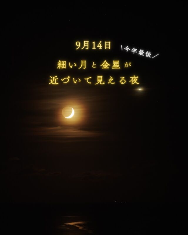 月と惑星は、空での通り道がほとんど同じなので、月に一度ほど、接近して見える機会があります🌙𖤐⁡春から毎月、この日が来るのを楽しみにしていました☺️⁡投稿を見て、一緒に空を見上げてくださった皆さま、本当にありがとうございました💫⁡⁡いよいよ宵の明星としての共演が最後だと思うと、とても寂しく感じます。。。⁡……とはいえ、明けの明星になっても早起きして絶対見るんですけどね😂⁡⁡9月14日晴れそうな地域の方はぜひ、美しい並びをご覧ください✵☽𓂃𓂃𓂃𓂃𓂃𓂃𓂃𓂃𓂃𓂃🔭星の専門店 星あそび 沖縄本島で星のイベント開催中▸▸▸ @hoshi_asobi ◂◂◂𓂃𓂃𓂃𓂃𓂃𓂃𓂃𓂃𓂃𓂃𓂃